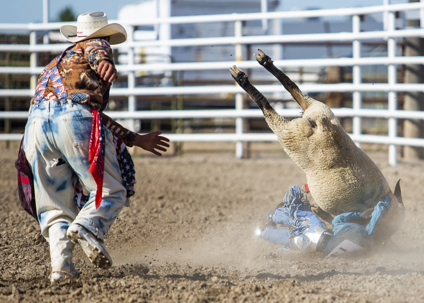 Mutton Busting in Minidoka